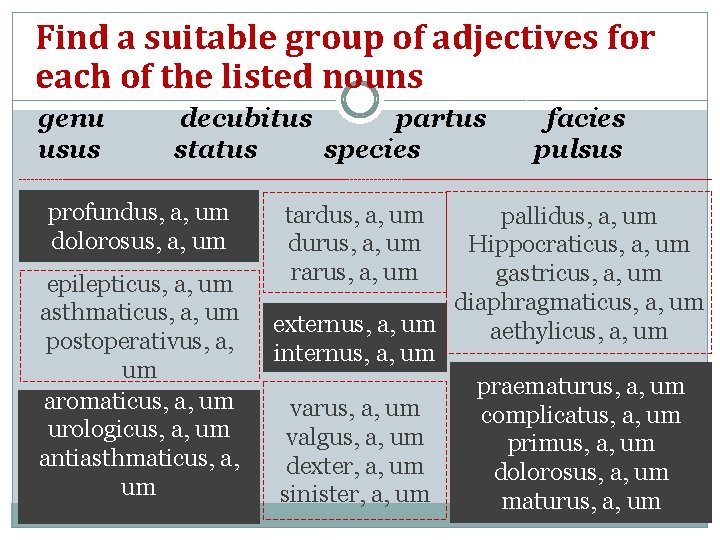 Find a suitable group of adjectives for each of the listed nouns genu usus