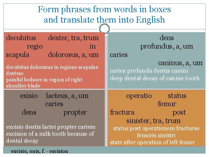 Form phrases from words in boxes and translate them into English decubitus dexter, tra,