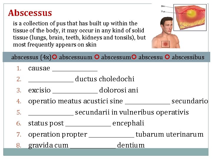 Abscessus is a collection of pus that has built up within the tissue of