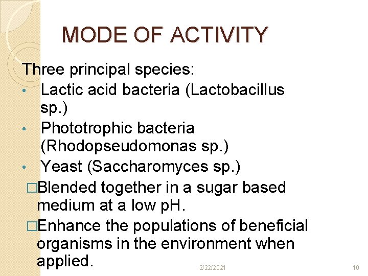 MODE OF ACTIVITY Three principal species: • Lactic acid bacteria (Lactobacillus sp. ) • MODE OF ACTIVITY Three principal species: • Lactic acid bacteria (Lactobacillus sp. ) •