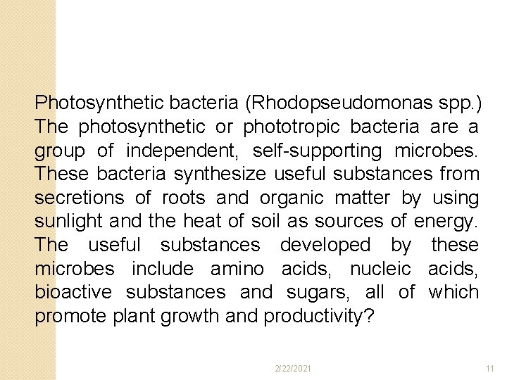 Photosynthetic bacteria (Rhodopseudomonas spp. ) The photosynthetic or phototropic bacteria are a group of Photosynthetic bacteria (Rhodopseudomonas spp. ) The photosynthetic or phototropic bacteria are a group of