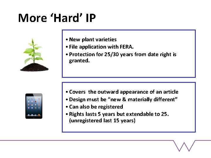 More ‘Hard’ IP • New plant varieties • File application with FERA. • Protection