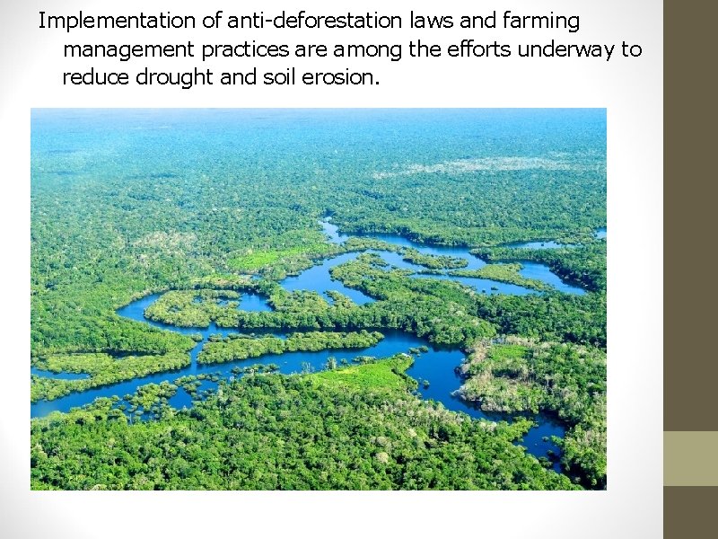 Implementation of anti-deforestation laws and farming management practices are among the efforts underway to
