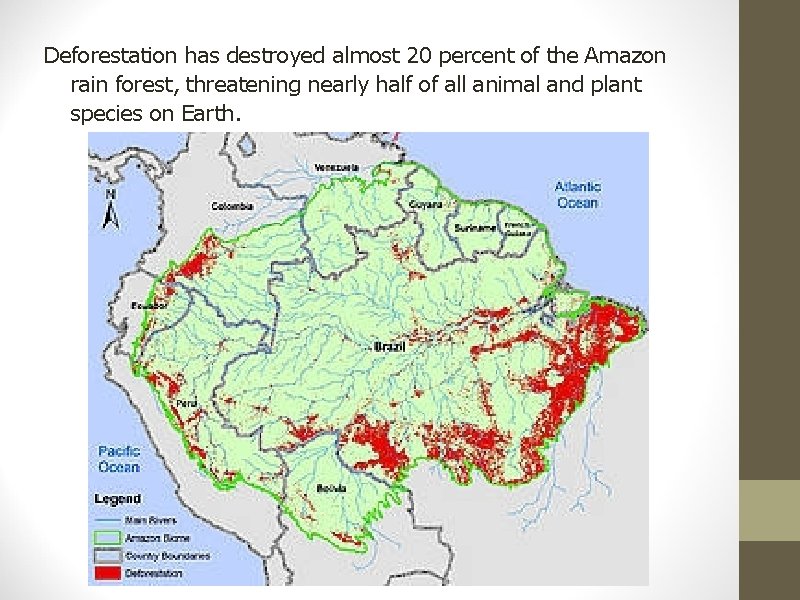 Deforestation has destroyed almost 20 percent of the Amazon rain forest, threatening nearly half