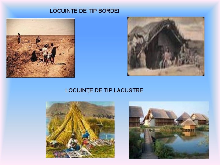 LOCUINŢE DE TIP BORDEI LOCUINŢE DE TIP LACUSTRE 