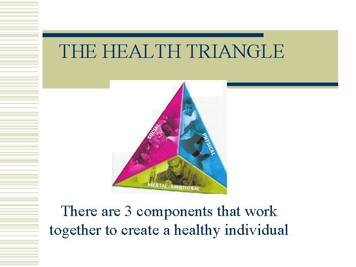 THE HEALTH TRIANGLE There are 3 components that work together to create a healthy