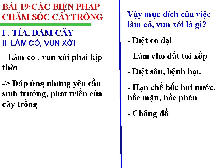 BÀI 19: CÁC BIỆN PHÁP CHĂM SÓC C YTRỒNG I. TỈA, DẶM C Y