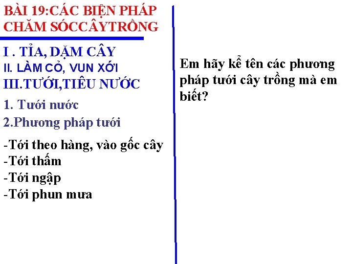 BÀI 19: CÁC BIỆN PHÁP CHĂM SÓCC YTRỒNG I. TỈA, DẶM C Y II.