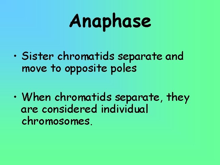 Anaphase • Sister chromatids separate and move to opposite poles • When chromatids separate,