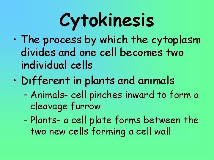 Cytokinesis • The process by which the cytoplasm divides and one cell becomes two
