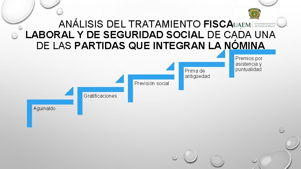 ANÁLISIS DEL TRATAMIENTO FISCAL, LABORAL Y DE SEGURIDAD SOCIAL DE CADA UNA DE LAS