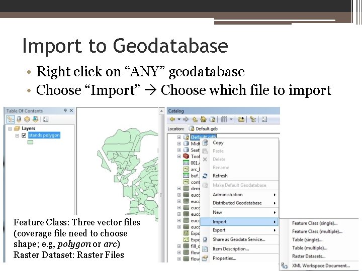 Import to Geodatabase • Right click on “ANY” geodatabase • Choose “Import” Choose which