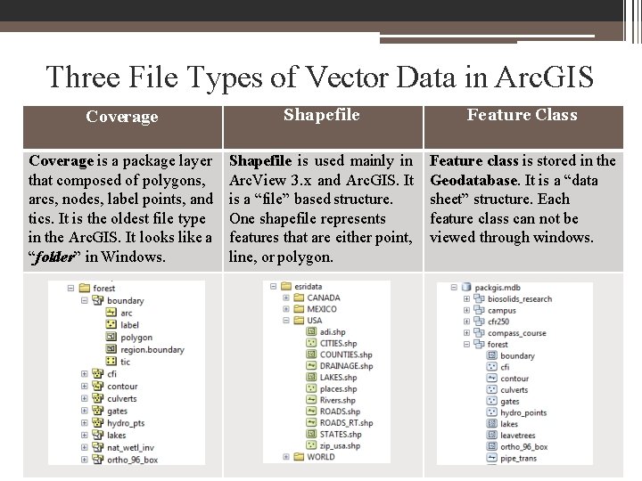 Three File Types of Vector Data in Arc. GIS Coverage Shapefile Feature Class Coverage