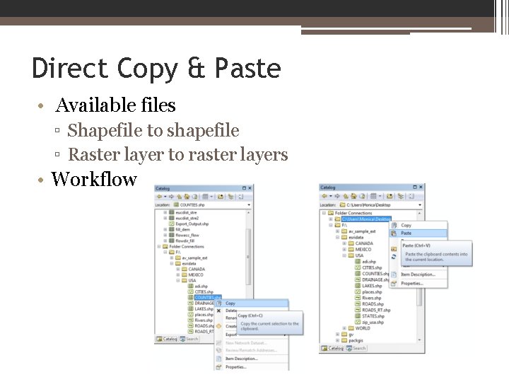 Direct Copy & Paste • Available files ▫ Shapefile to shapefile ▫ Raster layer