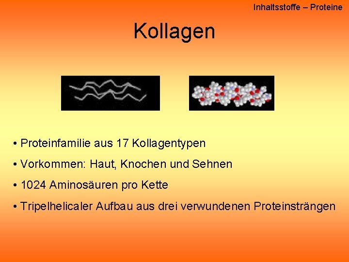 Inhaltsstoffe – Proteine Kollagen • Proteinfamilie aus 17 Kollagentypen • Vorkommen: Haut, Knochen und Inhaltsstoffe – Proteine Kollagen • Proteinfamilie aus 17 Kollagentypen • Vorkommen: Haut, Knochen und