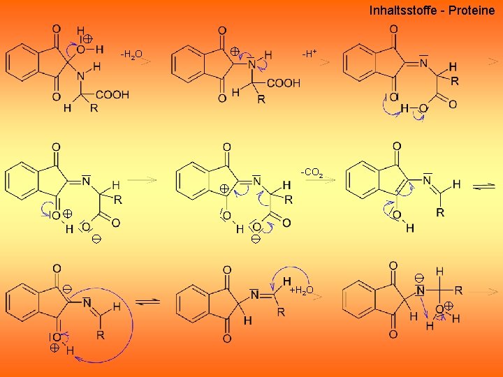 Inhaltsstoffe - Proteine -H 2 O -H+ -CO 2 +H 2 O Inhaltsstoffe - Proteine -H 2 O -H+ -CO 2 +H 2 O