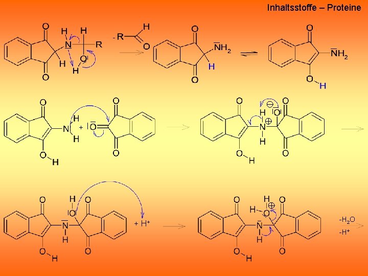 Inhaltsstoffe – Proteine - + + H+ -H 2 O -H+ Inhaltsstoffe – Proteine - + + H+ -H 2 O -H+