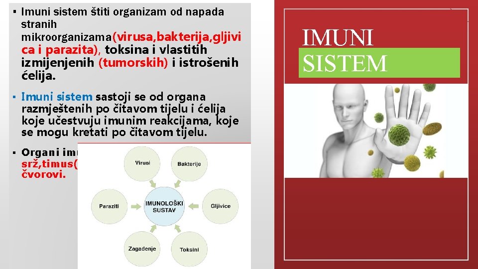 ▪ Imuni sistem štiti organizam od napada stranih mikroorganizama(virusa, bakterija, gljivi ca i parazita),