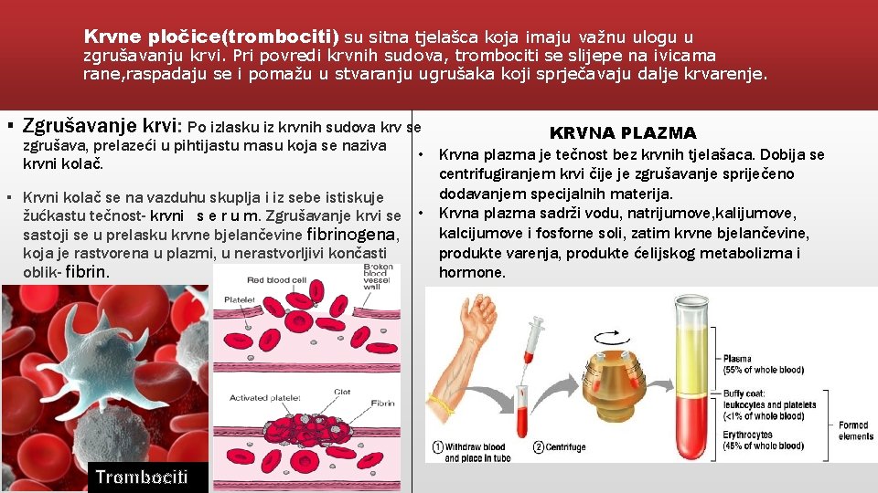 Krvne pločice(trombociti) su sitna tjelašca koja imaju važnu ulogu u zgrušavanju krvi. Pri povredi