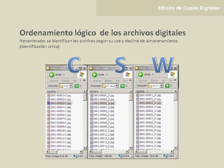 Edición de Copias Digitales Ordenamiento lógico de los archivos digitales Renombrado: se identifican los