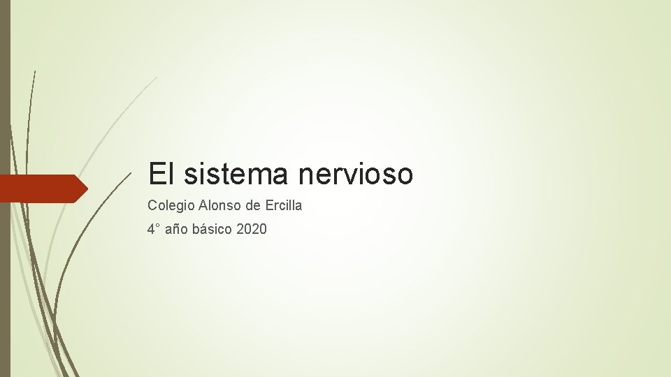 El sistema nervioso Colegio Alonso de Ercilla 4° año básico 2020 
