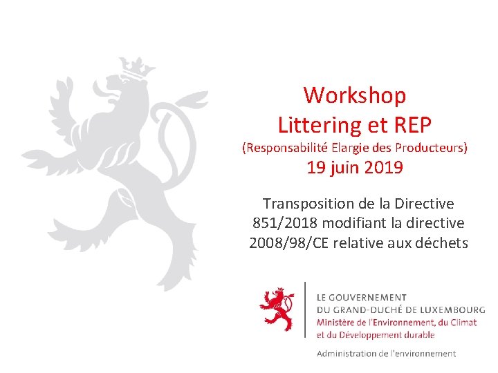 Workshop Littering et REP (Responsabilité Elargie des Producteurs) 19 juin 2019 Transposition de la