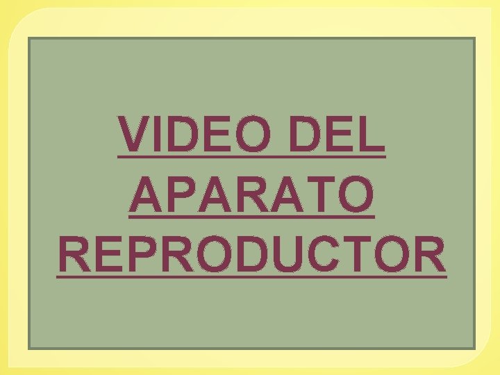 VIDEO DEL APARATO REPRODUCTOR 