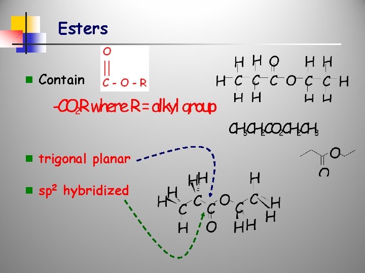 Esters n Contain n trigonal planar n sp 2 hybridized 