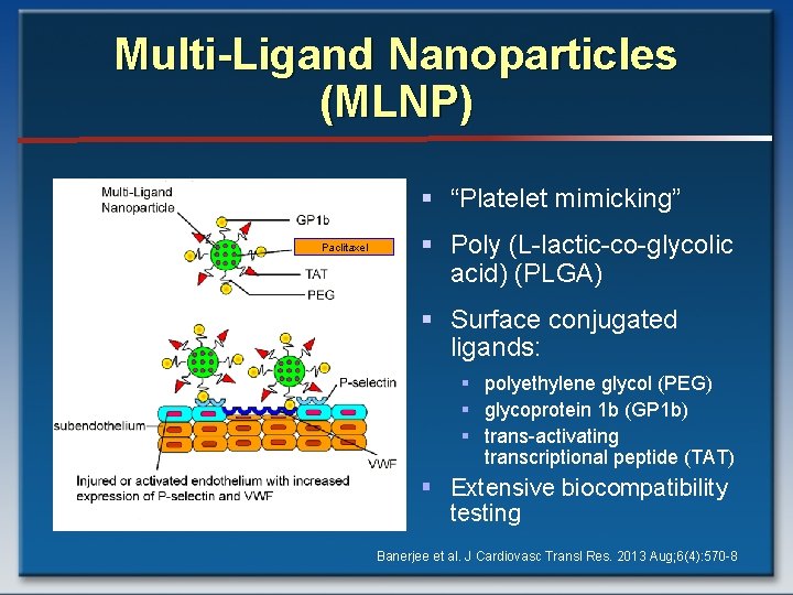 Multi-Ligand Nanoparticles (MLNP) § “Platelet mimicking” Paclitaxel § Poly (L-lactic-co-glycolic acid) (PLGA) § Surface