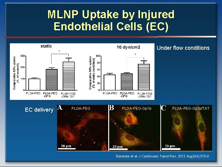 MLNP Uptake by Injured Endothelial Cells (EC) Under flow conditions EC delivery PLGA-PEG-Gp 1