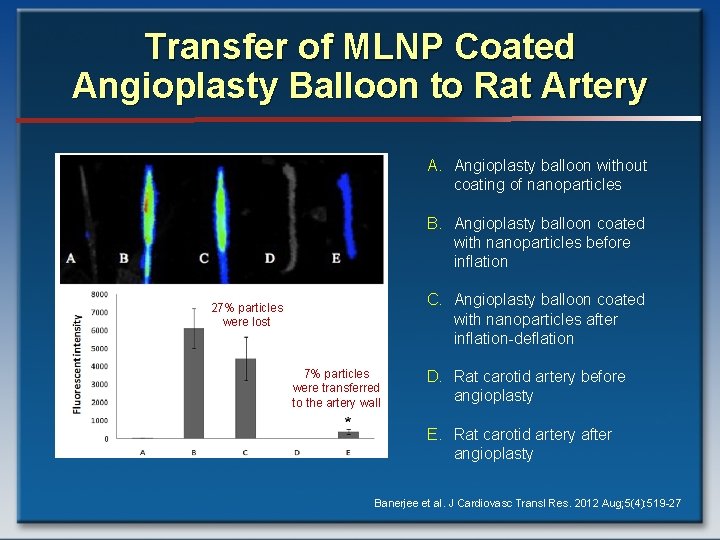 Transfer of MLNP Coated Angioplasty Balloon to Rat Artery A. Angioplasty balloon without coating