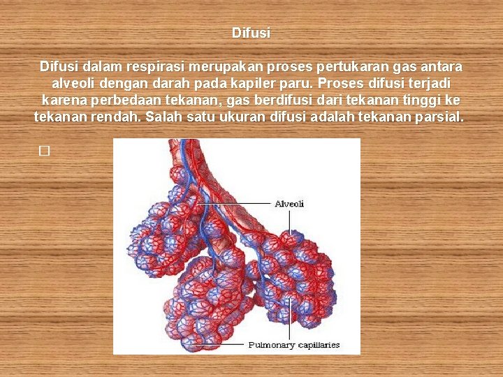 Difusi dalam respirasi merupakan proses pertukaran gas antara alveoli dengan darah pada kapiler paru.