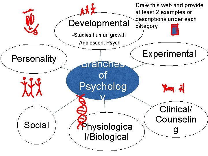 Developmental Draw this web and provide at least 2 examples or descriptions under each