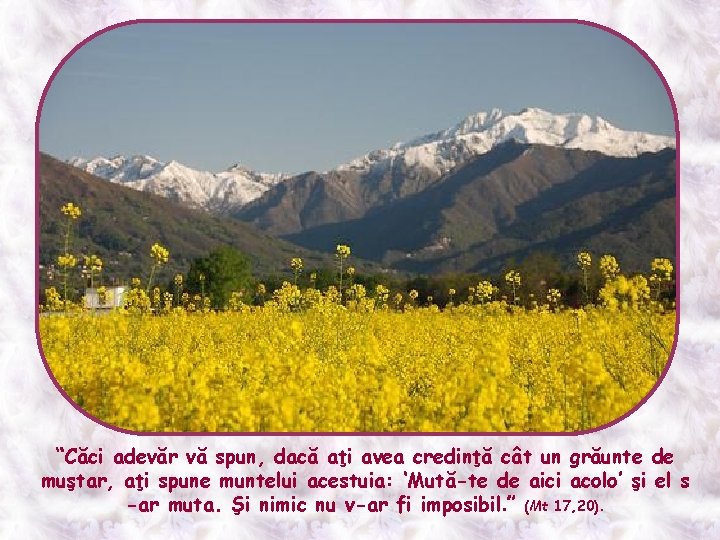 “Căci adevăr vă spun, dacă aţi avea credinţă cât un grăunte de muştar, aţi