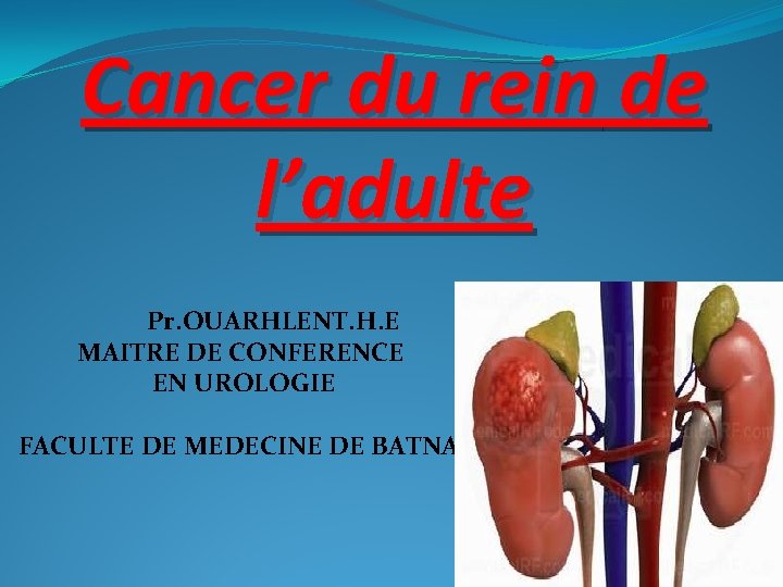 Cancer du rein de l’adulte Pr. OUARHLENT. H. E MAITRE DE CONFERENCE EN UROLOGIE