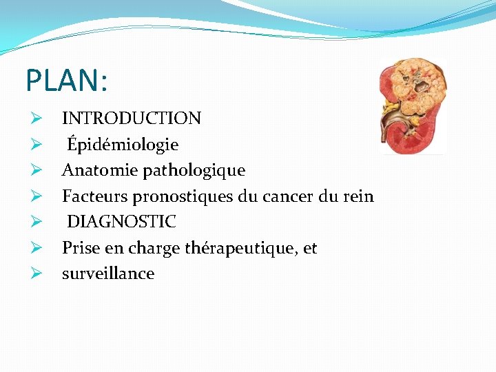 PLAN: Ø Ø Ø Ø INTRODUCTION Épidémiologie Anatomie pathologique Facteurs pronostiques du cancer du