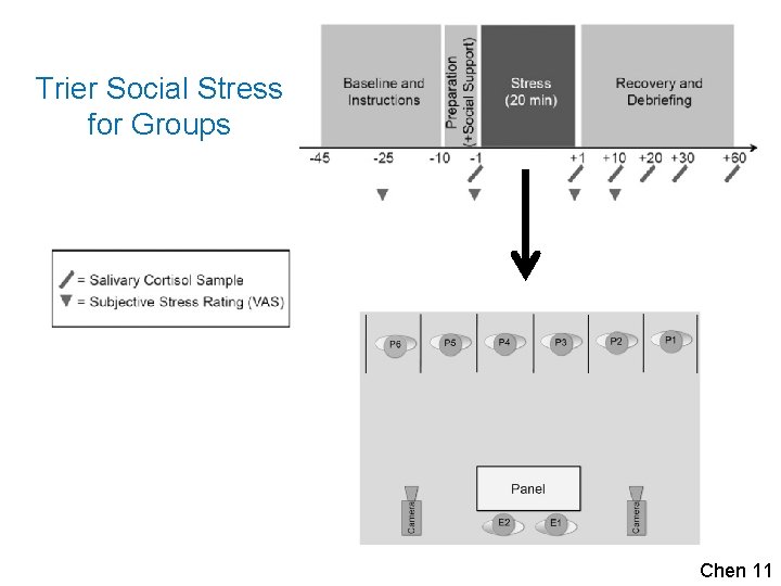 Trier Social Stress for Groups Chen 11 