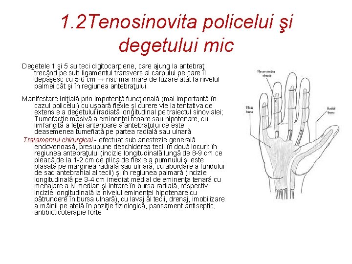 1. 2 Tenosinovita policelui şi degetului mic Degetele 1 şi 5 au teci digitocarpiene,