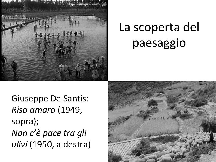 La scoperta del paesaggio Giuseppe De Santis: Riso amaro (1949, sopra); Non c’è pace