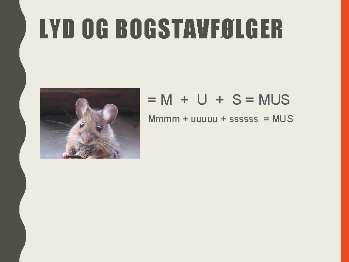 LYD OG BOGSTAVFØLGER = M + U + S = MUS Mmmm + uuuuu