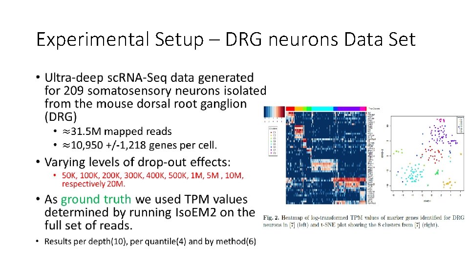Experimental Setup – DRG neurons Data Set • 