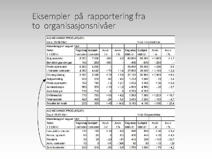 Eksempler på rapportering fra to organisasjonsnivåer Eksempler på rapportering fra to organisasjonsnivåer