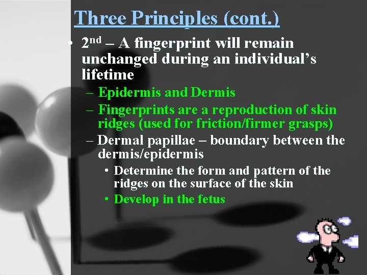 Three Principles (cont. ) • 2 nd – A fingerprint will remain unchanged during