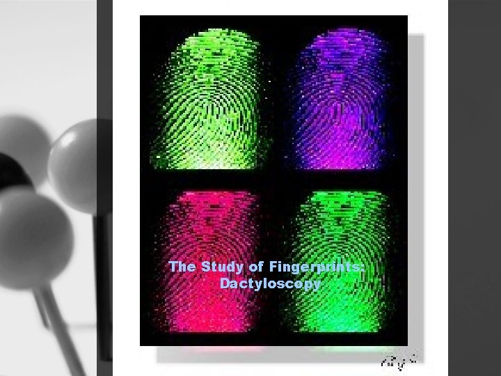 The Study of Fingerprints: Dactyloscopy 