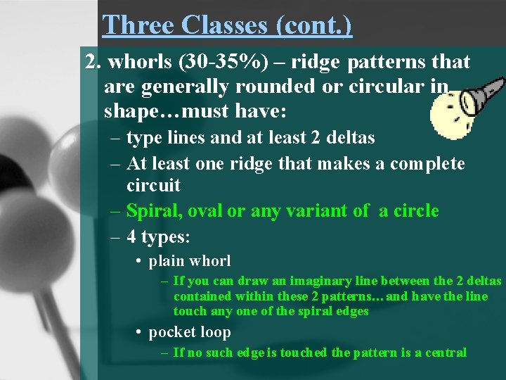 Three Classes (cont. ) 2. whorls (30 -35%) – ridge patterns that are generally