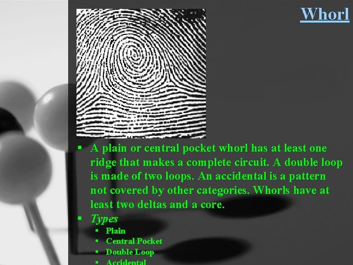 Whorl § A plain or central pocket whorl has at least one ridge that