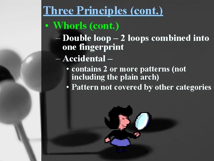 Three Principles (cont. ) • Whorls (cont. ) – Double loop – 2 loops