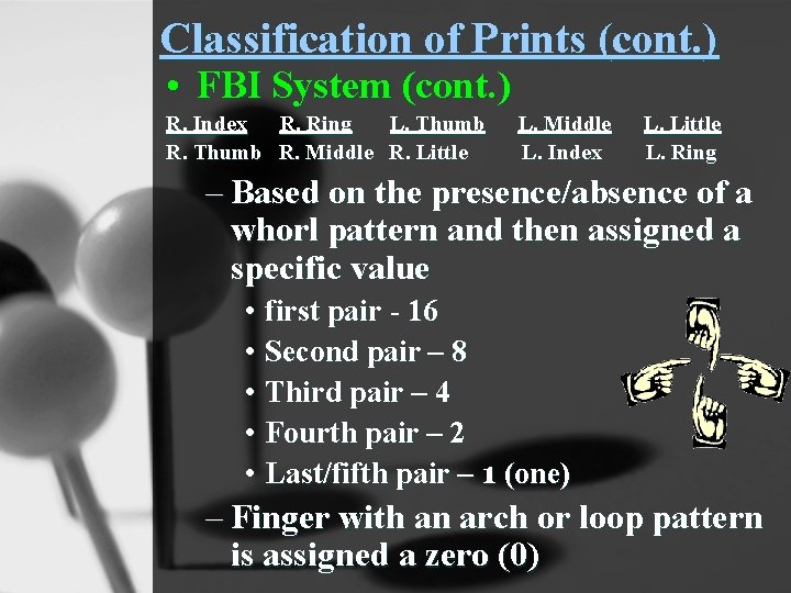 Classification of Prints (cont. ) • FBI System (cont. ) R. Index R. Ring