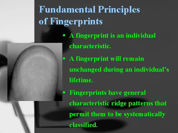 Fundamental Principles of Fingerprints § A fingerprint is an individual characteristic. § A fingerprint