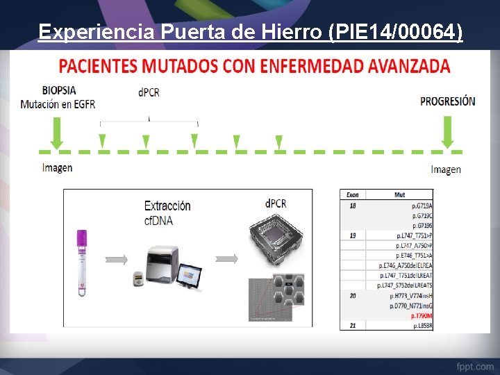 Experiencia Puerta de Hierro (PIE 14/00064) 